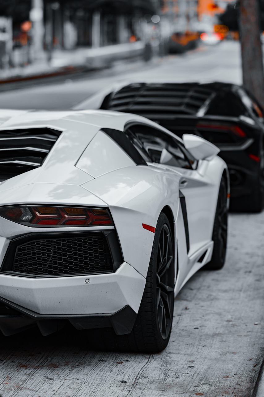 our-journey-02 cars, super cars, luxury cars, lamborghini, corvette, black car, white car, sports cars, exotic cars, daytime, parked cars, car row, black lamborghini, white lamborghini, black corvette, high-end vehicles, automobile, car collection, outdoor